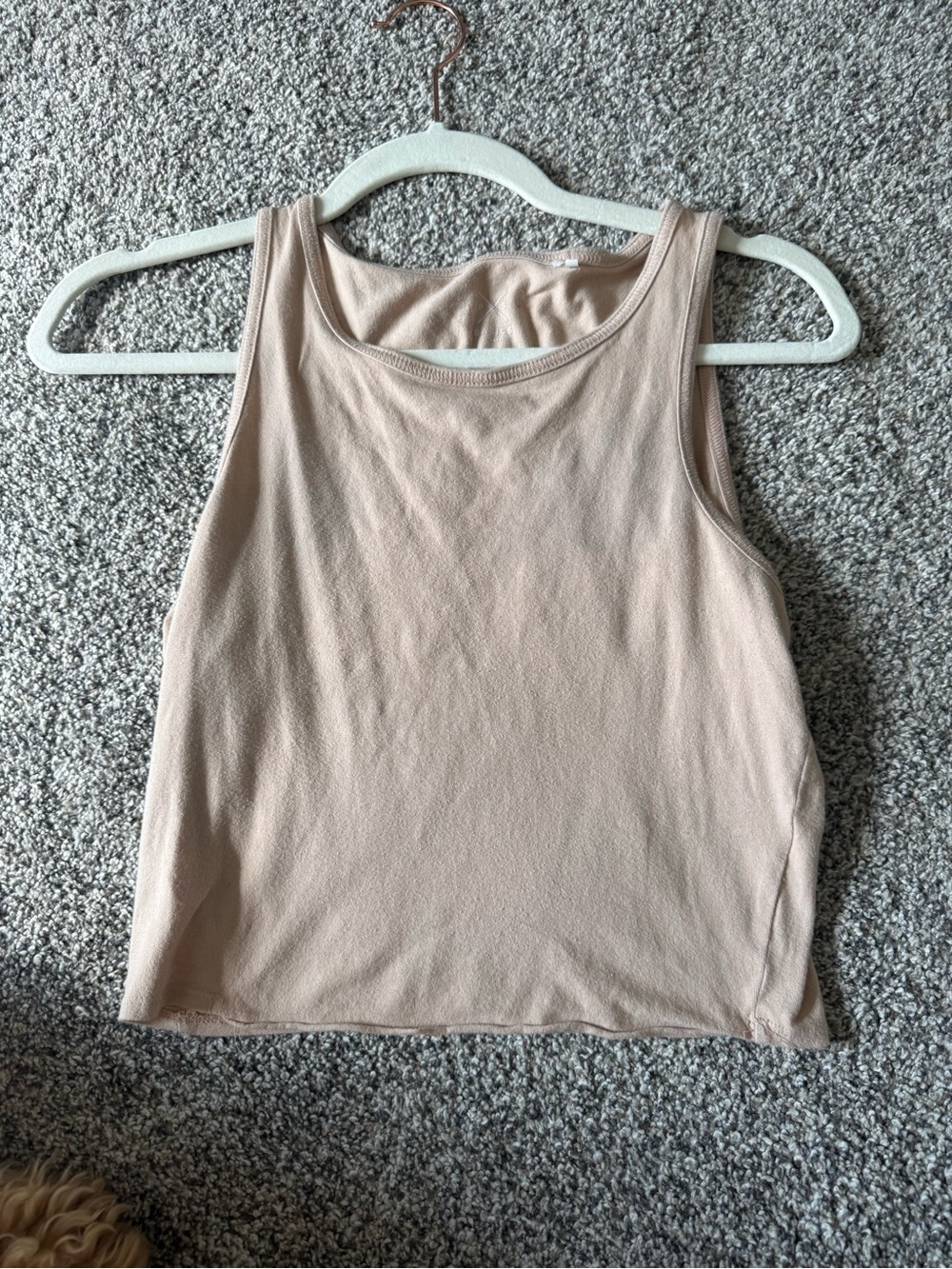 PacSun Ribbed Crop Tank Top in Blush Neutral